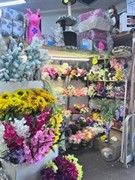 prominent discount shop - 2