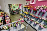 established florist aldershot - 2
