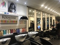 newly renovated hair beauty - 2