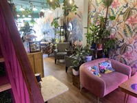 licenced cafe bar plants - 3