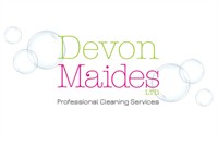 established cleaning business north - 1