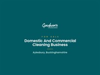 well-established cleaning services business - 1