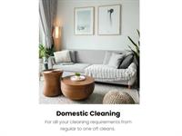 domestic commercial cleaning business - 2