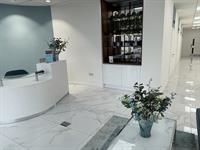 newly established aesthetics clinic - 2