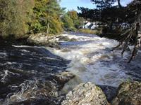 capercaillie restaurant rooms - 3