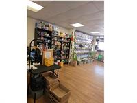newly established pet supplies - 2