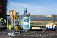an award-winning gin vodka - 1