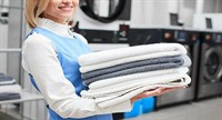 established commercial domestic cleaning - 3