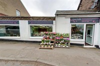 established florist aldershot - 1