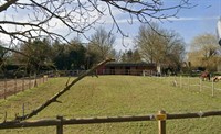 land paddocks stables ashford - 1