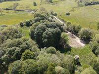 four-acre plot of land - 3