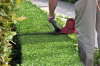 highly reputable garden machinery - 2