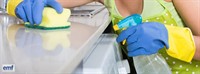 established profitable domestic cleaning - 1