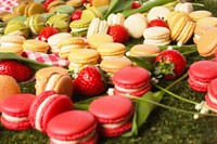 award-winning artisan macaron brand - 3
