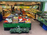 busy greengrocer business with - 1