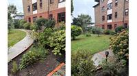 contract landscaping business with - 3