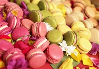 award-winning artisan macaron brand - 1