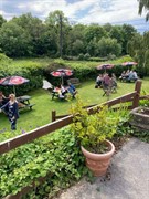 freehold dartmoor village pub - 3