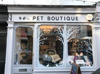 established pet boutique grooming - 1