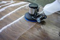 relocatable carpet upholstery cleaning - 1
