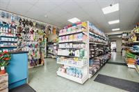 pet supplies plant shop - 2