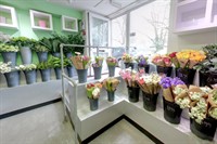 established florist aldershot - 3