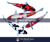 koi carp business henley - 2