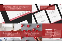 well established management consultancy - 2