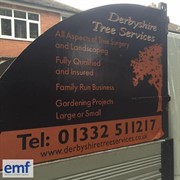 established tree surgery business - 3