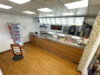 modern attractive fish chip - 2
