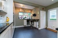 cattery with accommodation london - 2