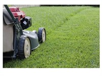 newly established garden maintenance - 2