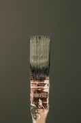 premium eco-friendly paint brand - 1