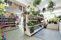 pet supplies plant shop - 3