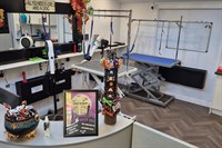 leasehold dog groomers central - 2
