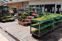 established greengrocers birmingham - 3