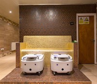 established luxury day spa - 1
