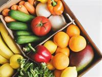 wholesale fresh fruit vegetables - 3