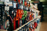 independent pet retail business - 2
