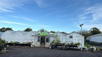 profitable retail wholesale plant - 3