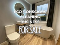 eco-conscious cleaning business profitable - 1