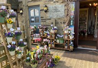 bloom into business established - 2