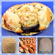 seafood business for sale - 1