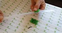 established multifunctional zip seal - 1