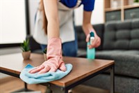 domestic commercial cleaning business - 3
