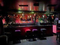 nightclub bar - 2