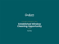 established window cleaning business - 1