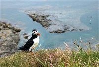 long-established marine tourism business - 1