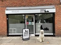 highly rated dog grooming - 1