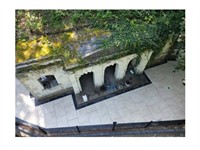 profitable thriving paving contractor - 3